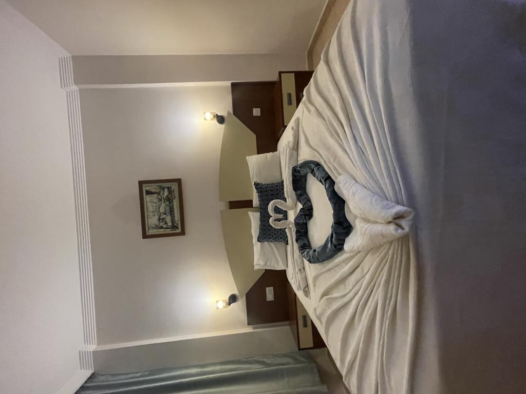 Hamir Hotel — 10