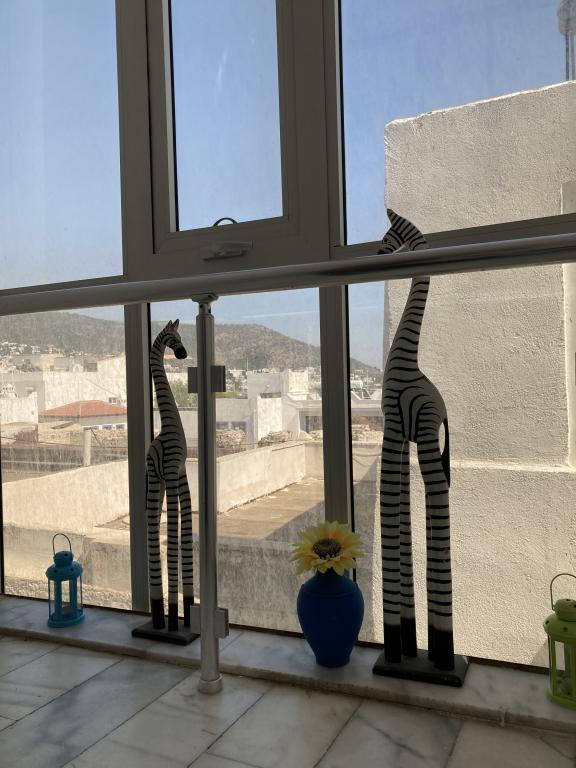 Can Pansiyon Bodrum — 8