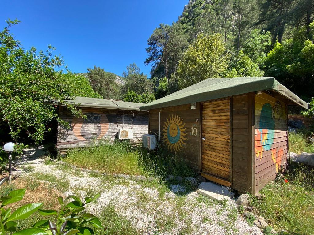 Maya Olympos — 6