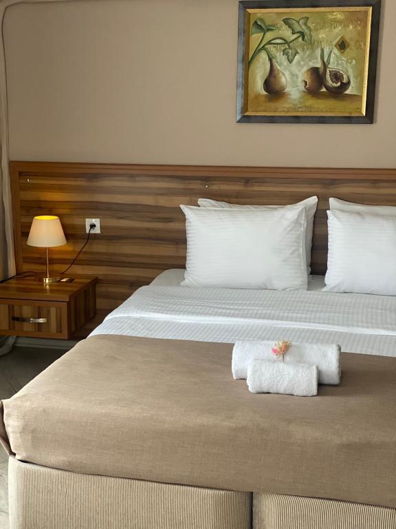 Park Otel Düzce — 2