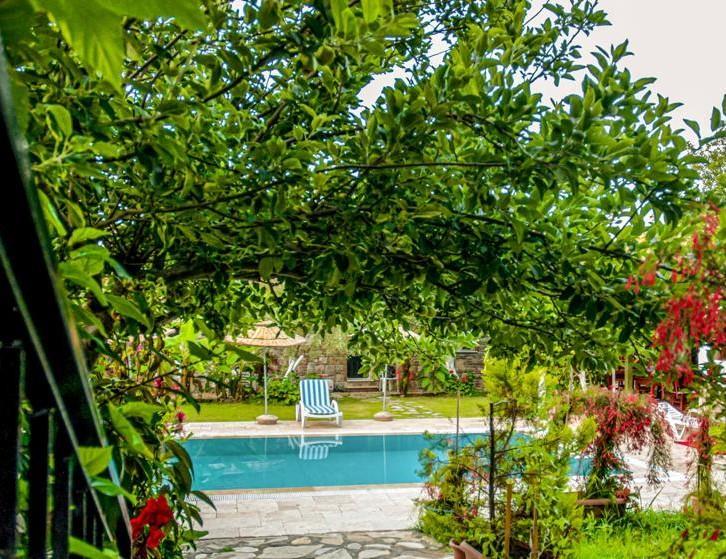 Green Boutique Doğa — 4