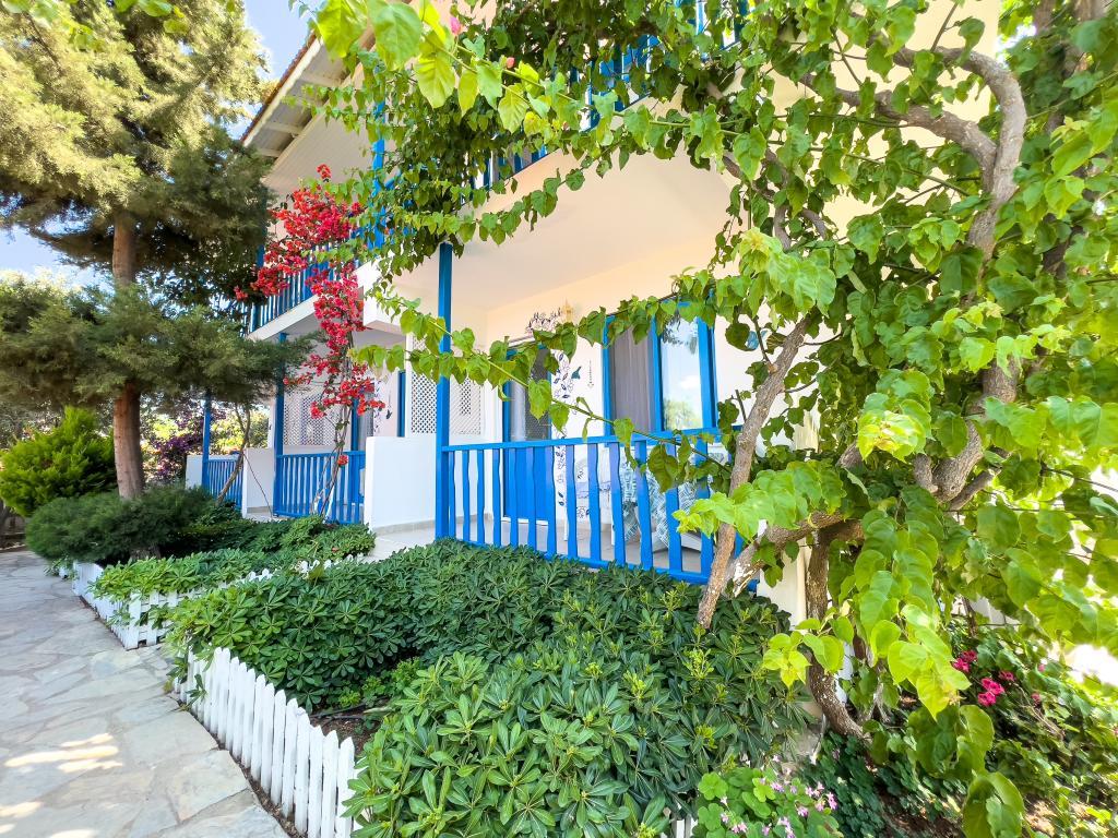 Selimiye Mavisi — 2