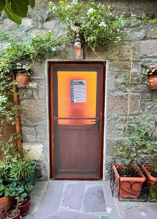 Dut Ağacı Pansiyon — 4