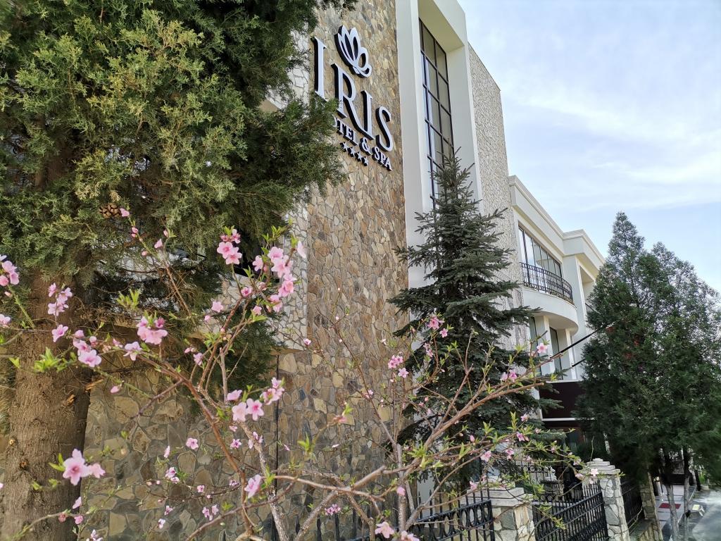 İris Hotel & Spa — 9