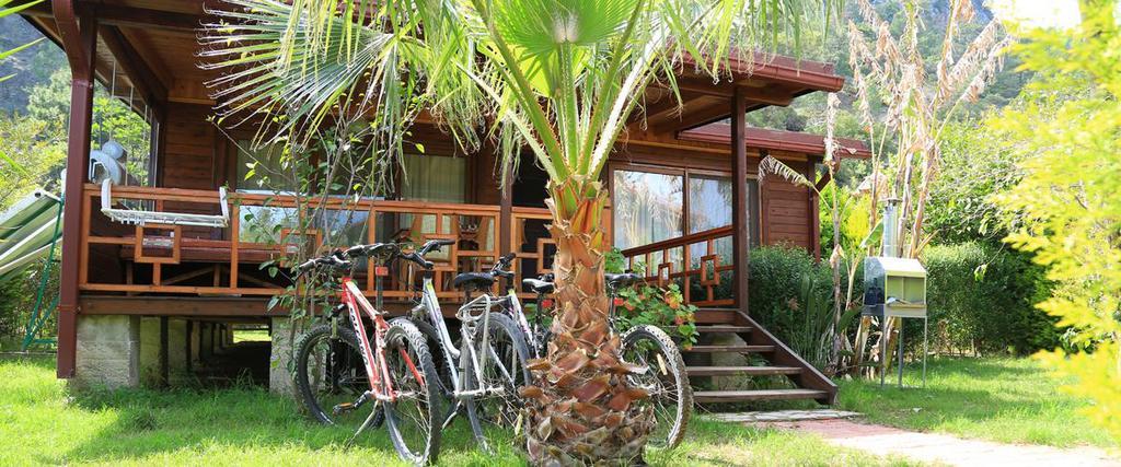 Villa Zeytin Çıralı — 7