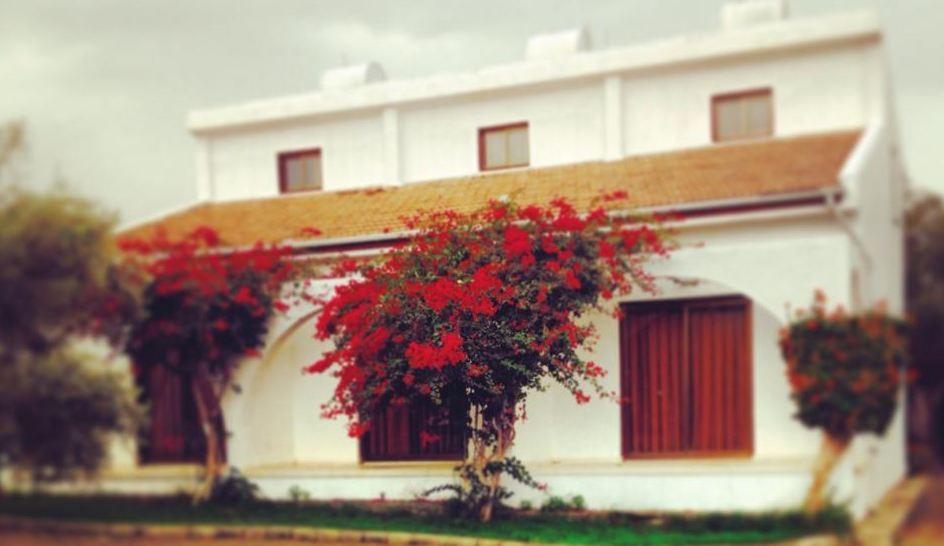 Bare Hill Holiday Village — 9