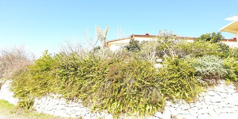 Surf Apart Otel — 3