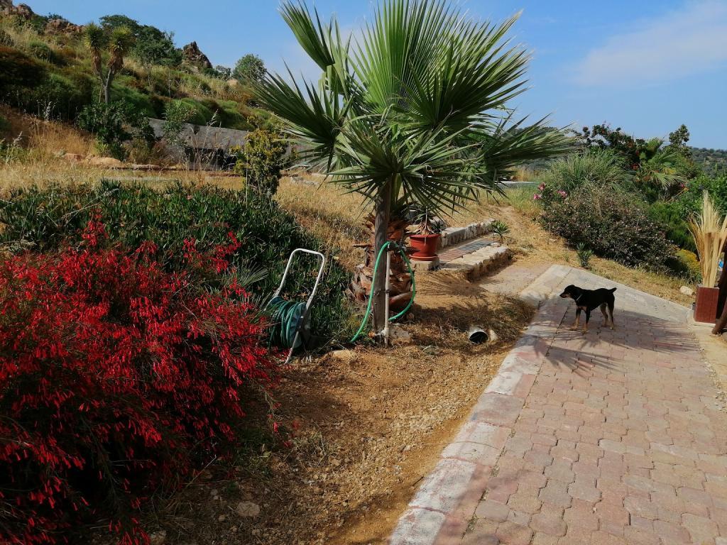 Eco Farm Boutique Otel — 6