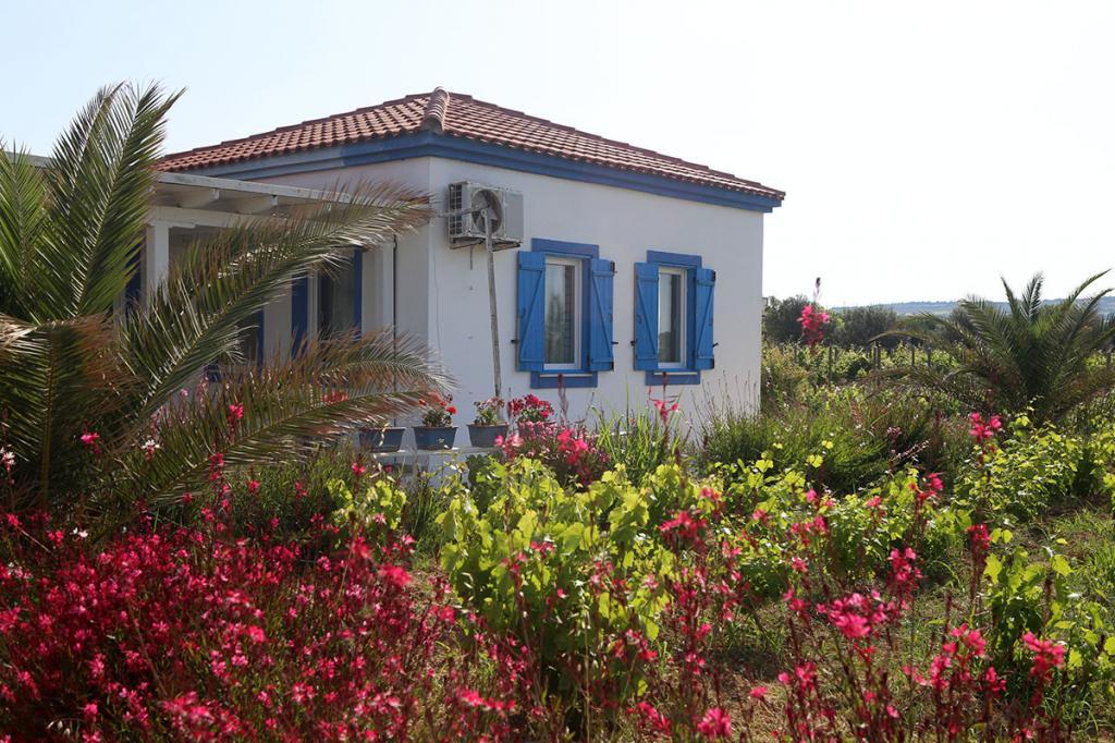 Ilgın Bağ Evi — 4