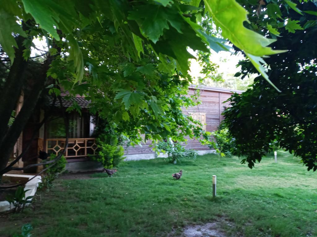Maji Village — 4
