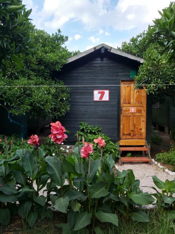 Tatilya Pansiyon — 5