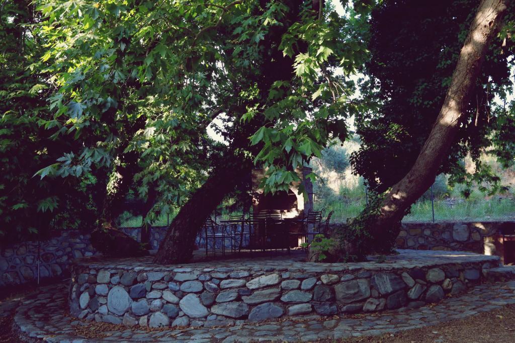 Kazdağı Kamp Zeytinli — 9