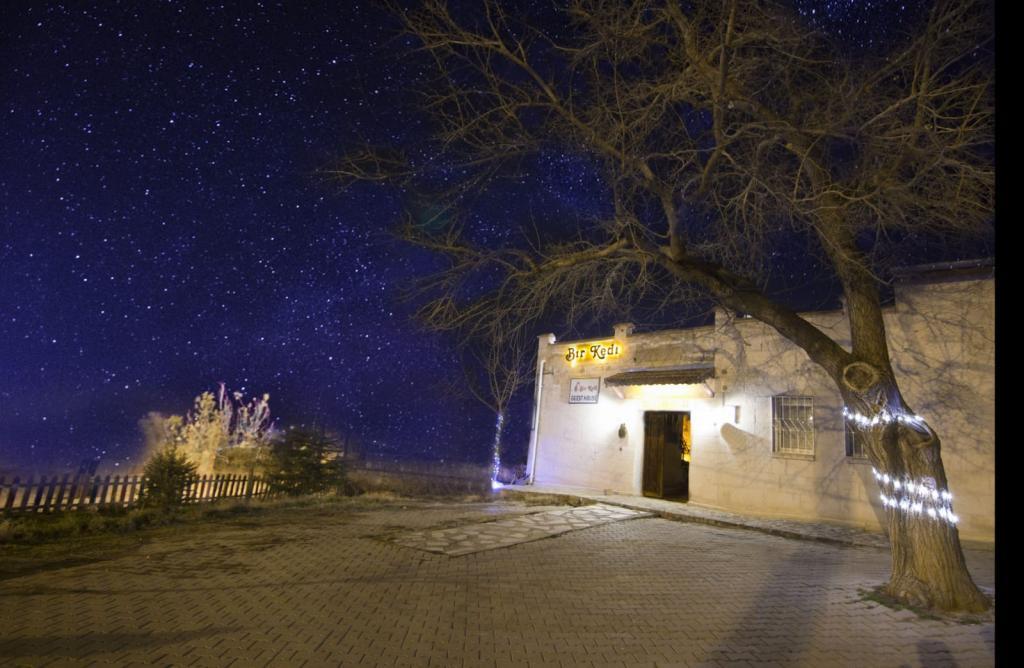 Bir Kedi Villa — 10