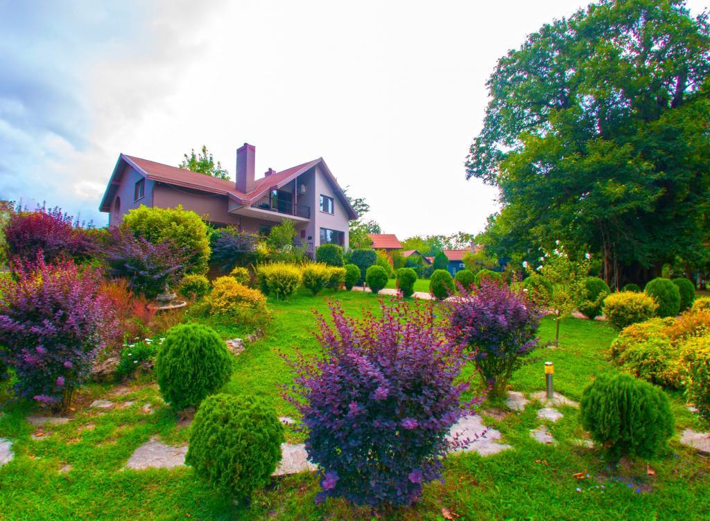 Sapanca Villa Kırkpınar — 5