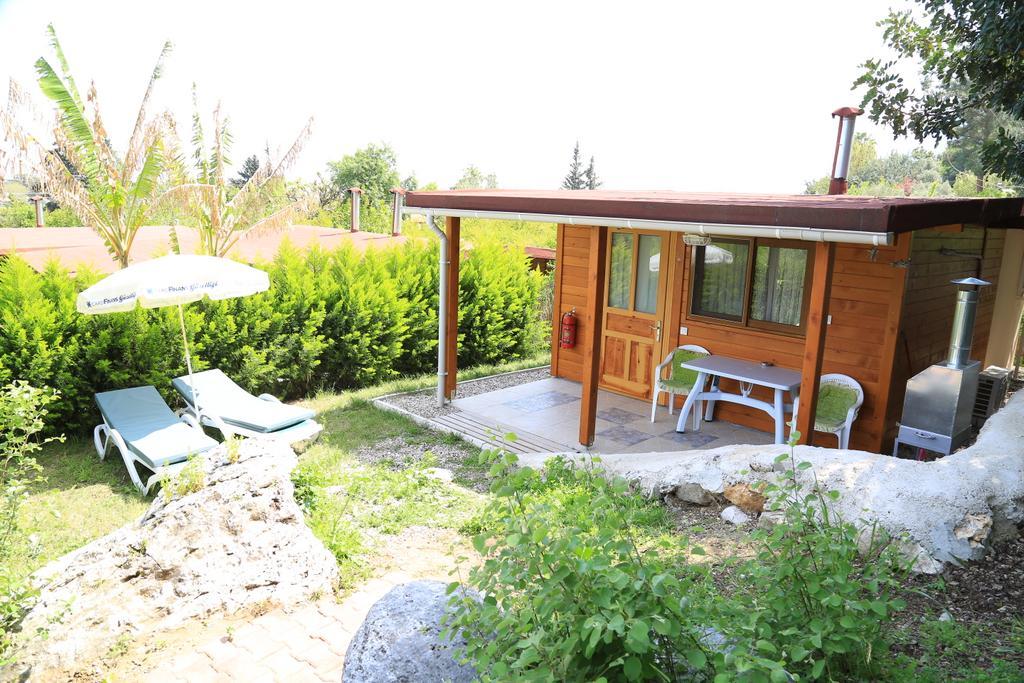 Villa Zeytin Çıralı