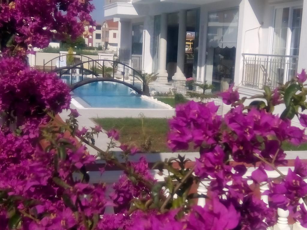 Dolunaydın Hotel — 2