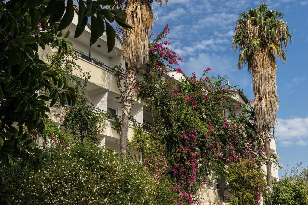 Hotel Pataros — 5