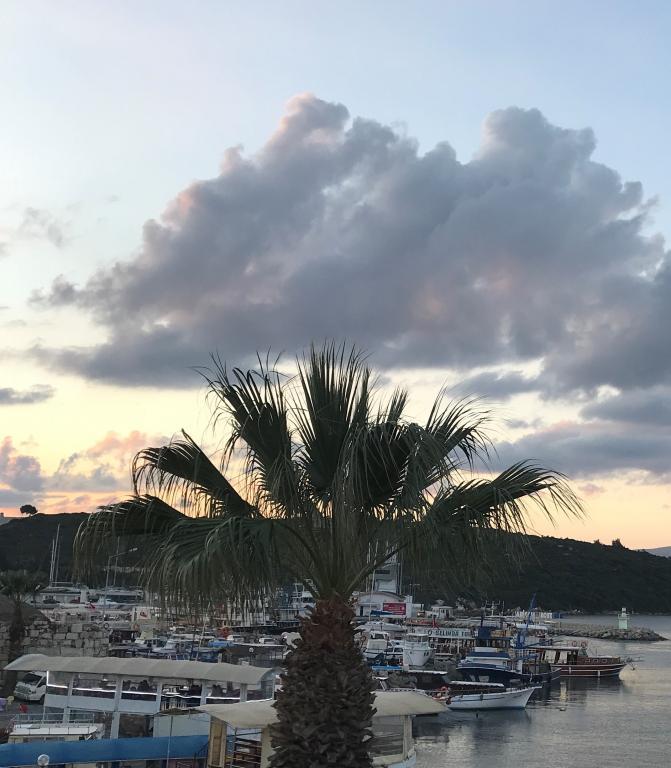Silenos Boutique Hotel