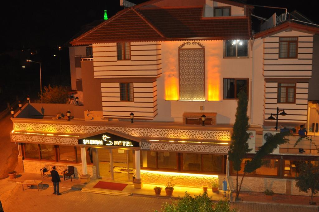 Selenium Hotel — 1