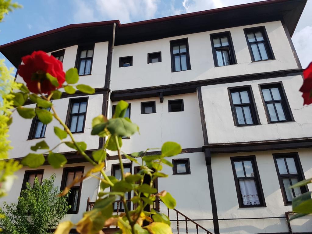 Kastamonu Kadıoğlu Konak — 3