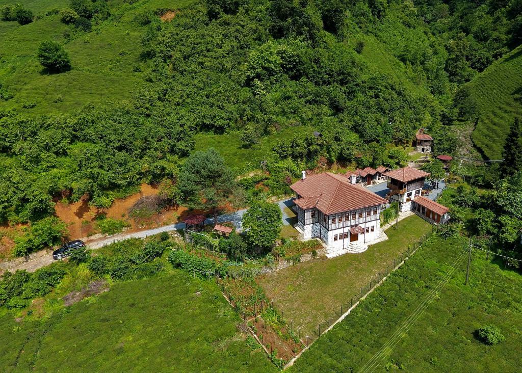 Babalık Doğal Yaşam Konağı — 6