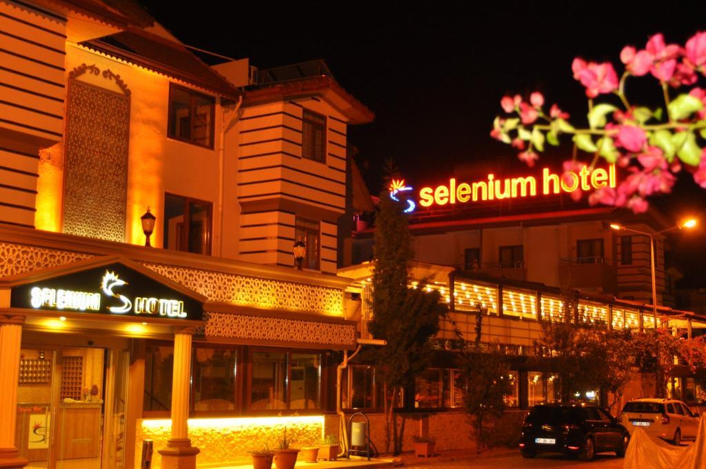 Selenium Hotel — 3