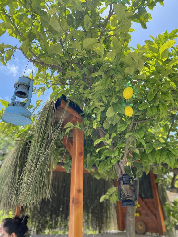Cielo Limon Butik Otel — 5