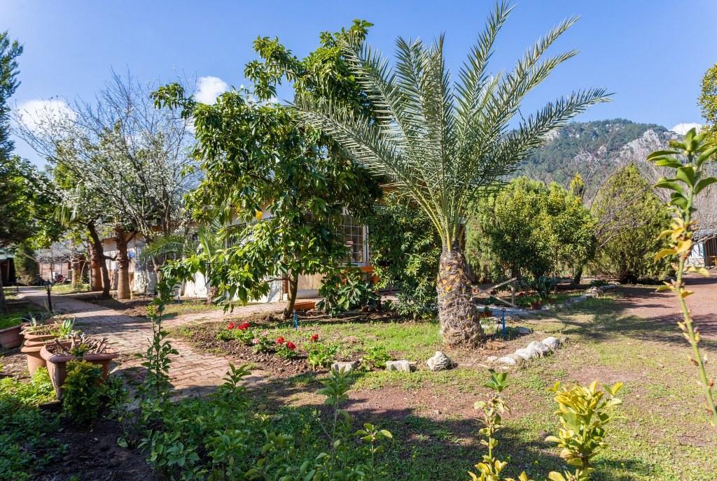 Likya Yanartaş Bungalows — 6