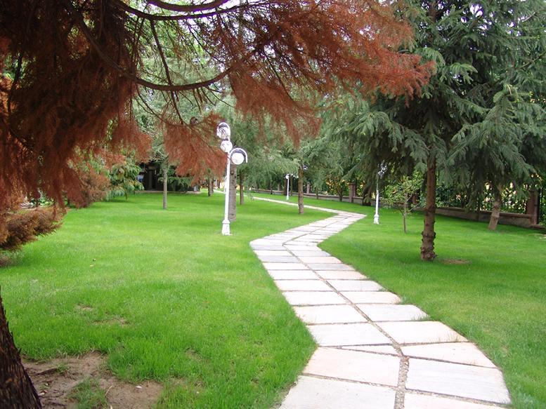 Yalçın Resort Hotel — 9