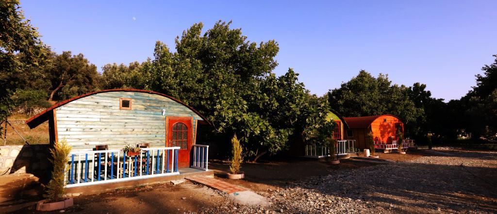 Kazdağı Kamp Zeytinli — 7