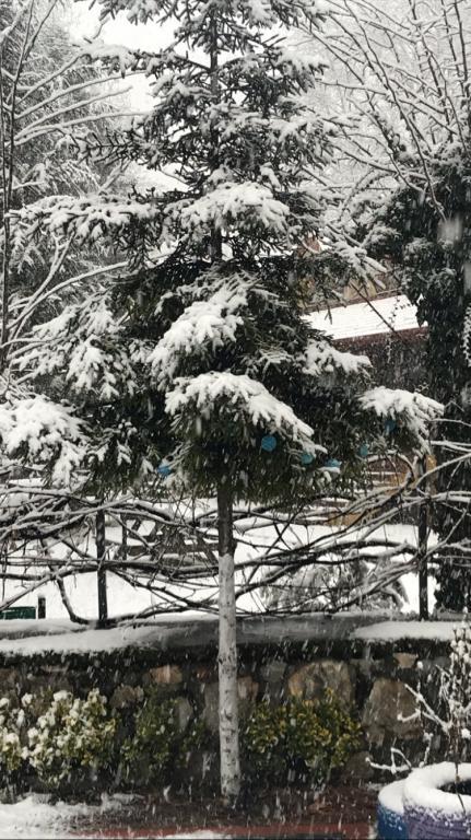 Bolu Yıldız Otel — 9
