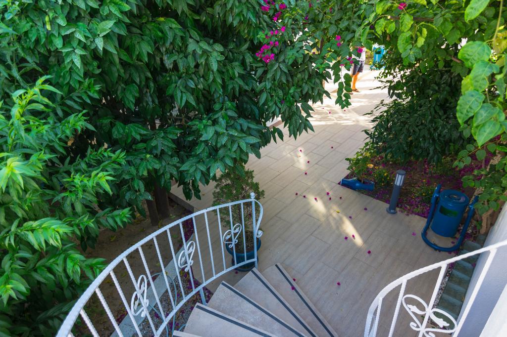 Cotton Boutique Hotel — 3