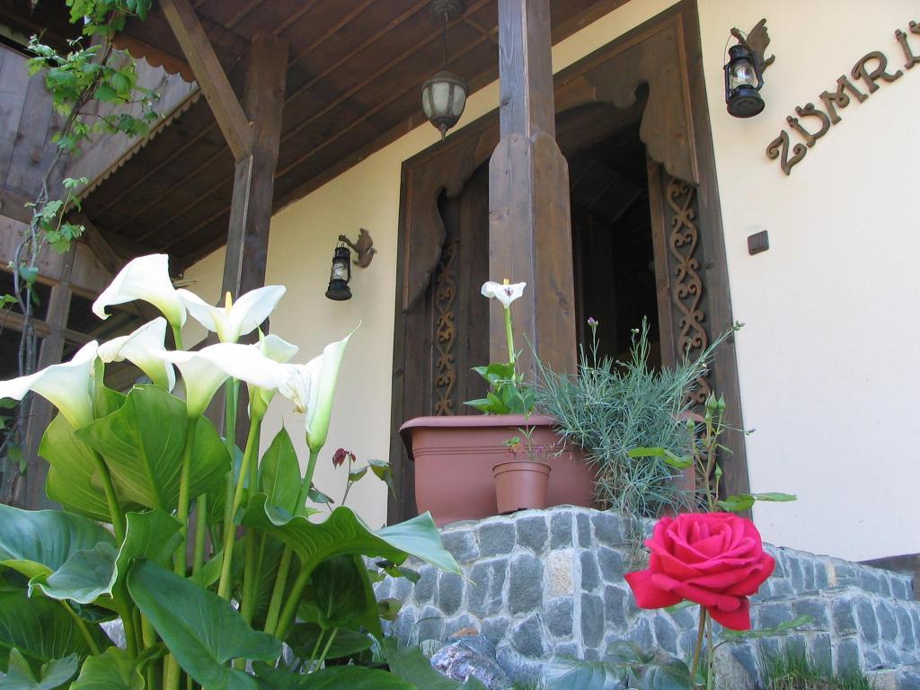 Zümrüd-ü Anka Otel — 2