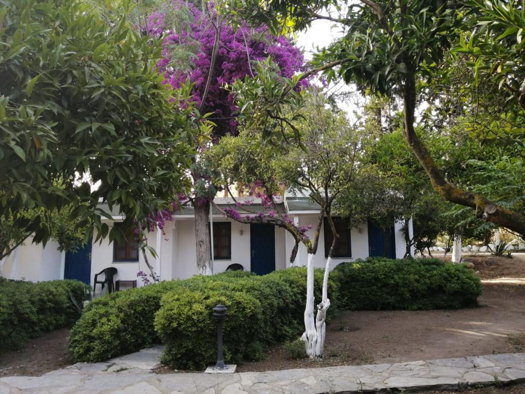 Myndos Bed & Breakfast Gümüşlük — 5