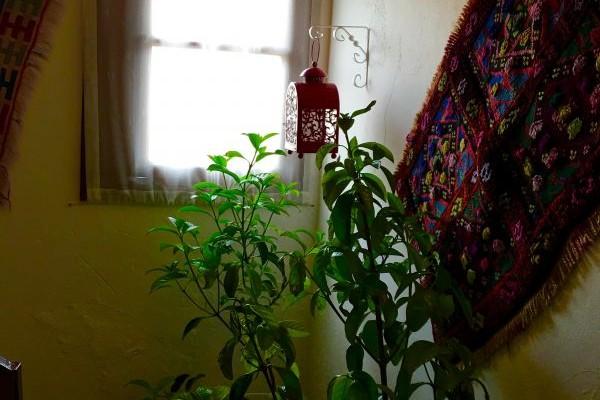 Athena Pansiyon Şirince — 5