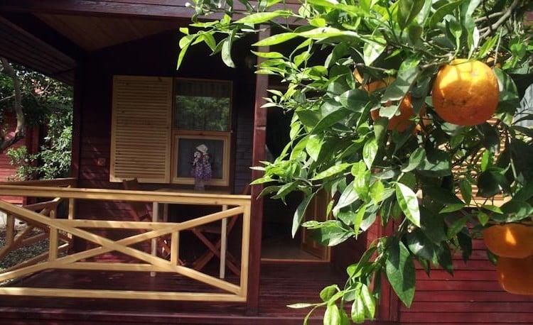 Mercan Bungalow — 8