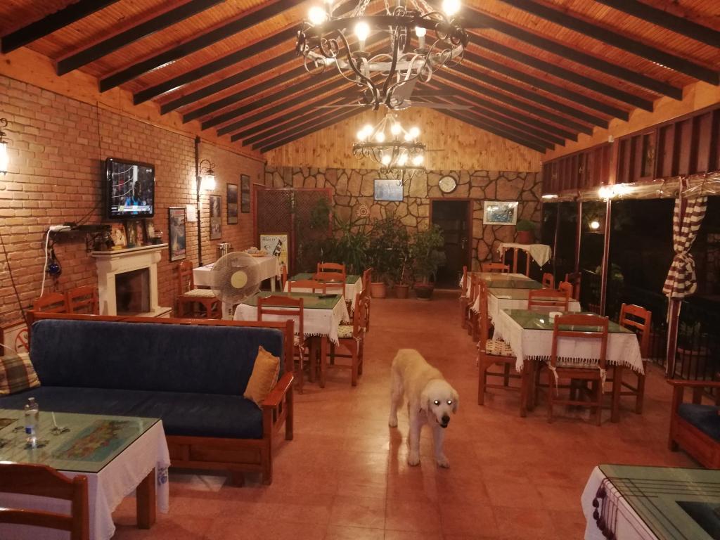 Oran Apart Hotel — 3