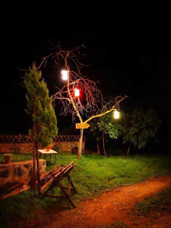 Babalık Doğal Yaşam Konağı — 8