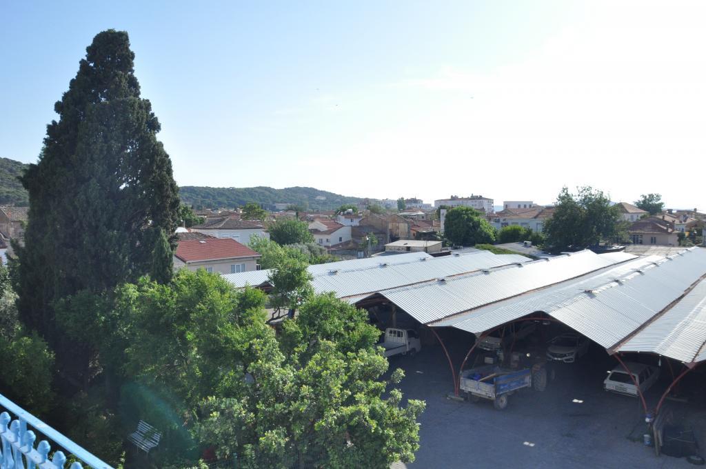 Olea Leya(+5 Yaş) — 10