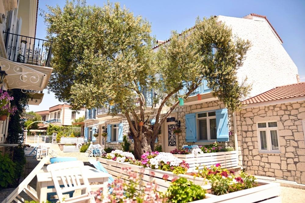 Zeytin Arası Taş Evler — 5