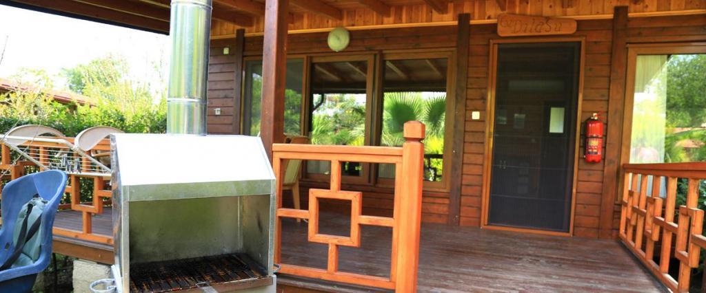 Villa Zeytin Çıralı — 10