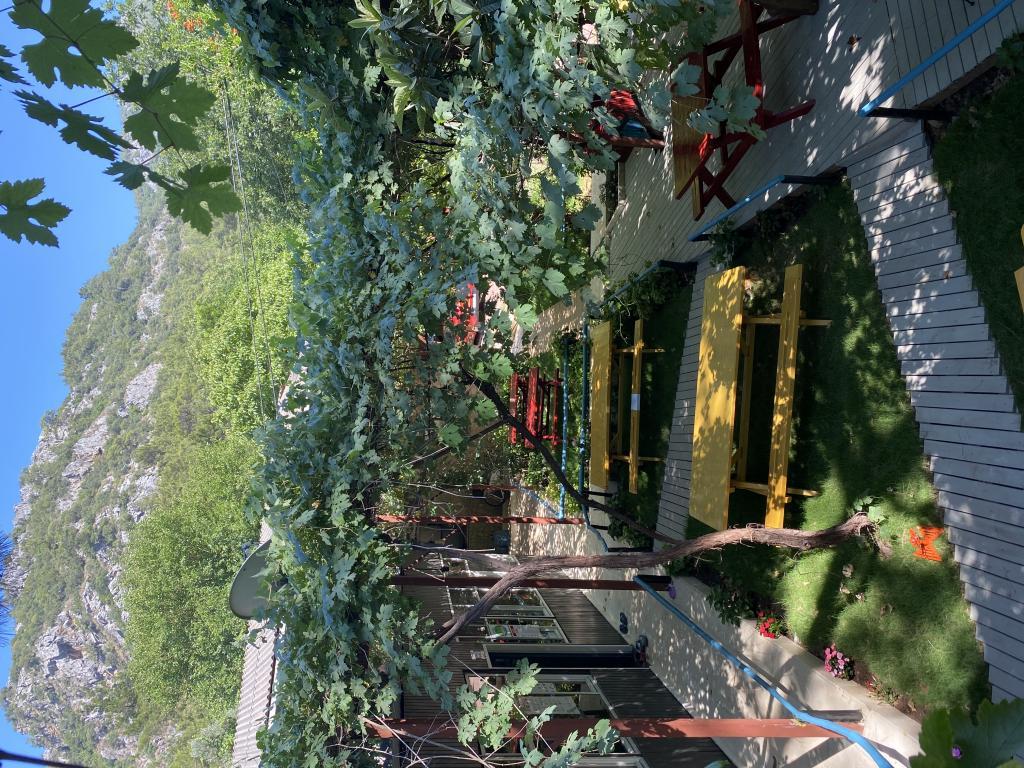 Olympos Çamlık Pansiyon +16 — 6