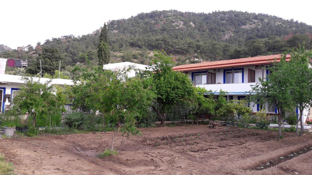 Ege Pansiyon & Restorant Mazı — 3