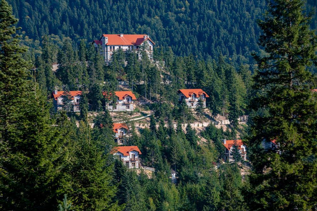 Foleya Mountain Resort — 1