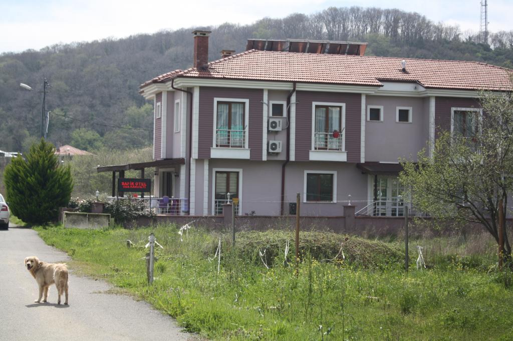 Ağva Safir Otel — 5