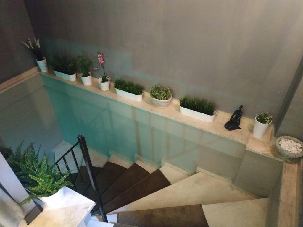 Bon Design & Suite — 5