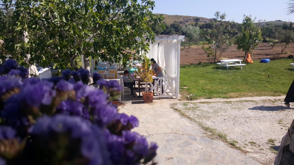 Madam Eleni — 1