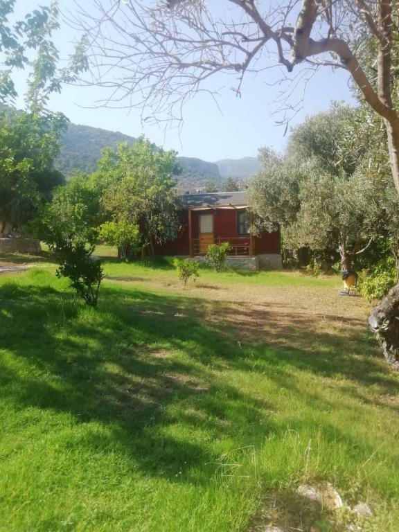 Bahar Bahçe Datça — 5