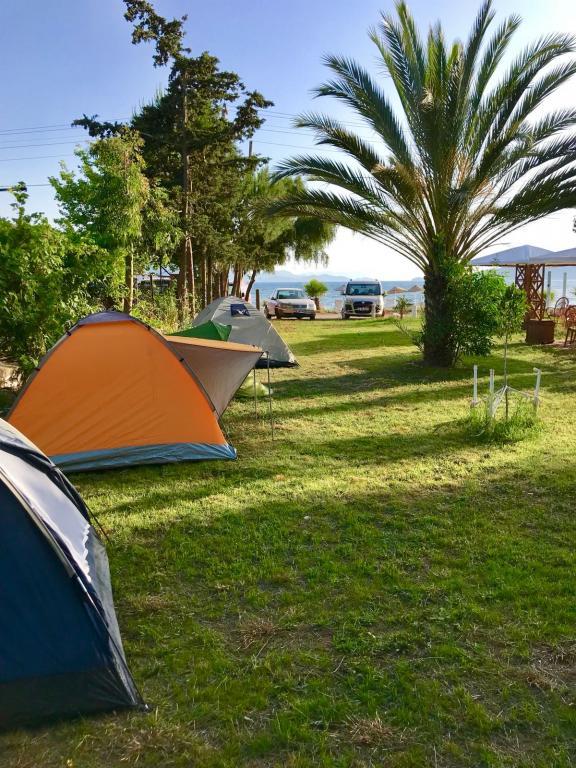 Angora Fish Restaurant Motel Camping — 2