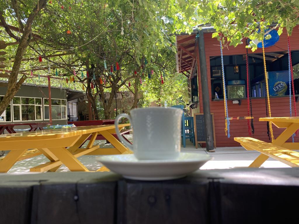 Olympos Çamlık Pansiyon +16 — 10